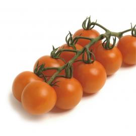 Roubované tyčkové rajče Manolo Orange F1