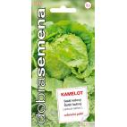 Dobrá semena Salát celoroční ledový - Kamelot 0,4g