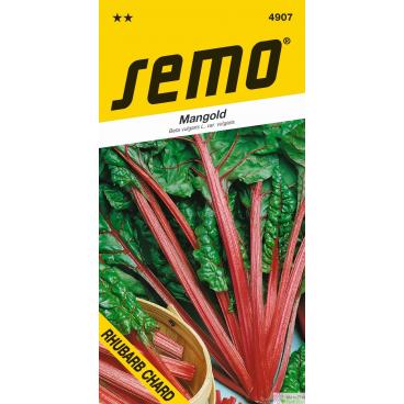 Mangold - Rhubard Chard zelený 3g