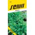 Mangold - Perpetual spinach (Gator) zelený 4g