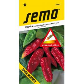 Paprika roční NAGA MORICH