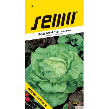 Sal&aacute;t letn&iacute; - Dětenick&aacute; atrakce poln&iacute; 0,6g