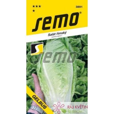 Sal&aacute;t ř&iacute;msk&yacute; - Gelbus PROFI 0,7g