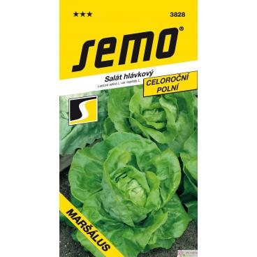 Sal&aacute;t celoročn&iacute; - Mar&scaron;&aacute;lus PROFI poln&iacute; 0,6g