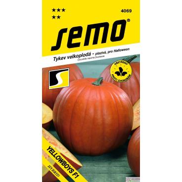 Tykev velkoploda YELLOWBOYS F1