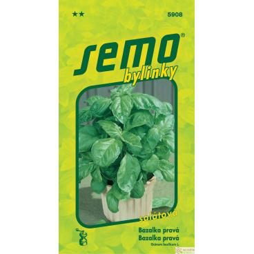 Bazalka prav&aacute; - Lettuce Leaf (sal&aacute;tov&aacute;) 1g