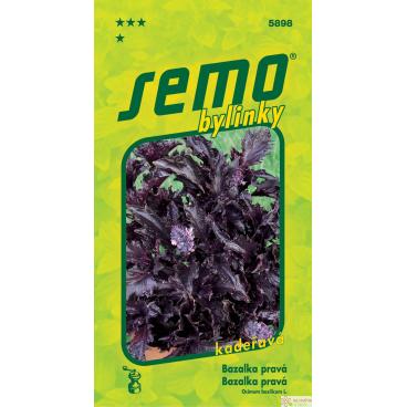 Bazalka prav&aacute; - Purple Ruffles (kadeřav&aacute;) 0,15g