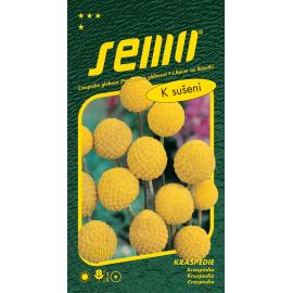 Krasp&eacute;die BILLY BUTTONS