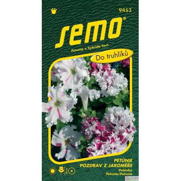 Petunie velkokvět&aacute; - Pozdrav z Jaroměře 50p