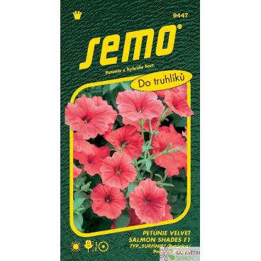 Petunie převisl&aacute; - Velvet Salmon Shades F1 (typ Surfinie) 10p