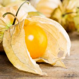 Mochyně peruánská ( Physalis) Goldvital