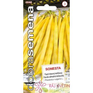 Dobr&aacute; semena Fazol keř&iacute;čkov&yacute; - Sonesta 10g