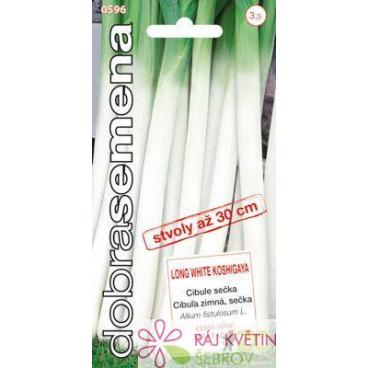 Dobr&aacute; semena Cibule sečka - Long White Koshigaya "p&oacute;rkov&aacute;" 2g