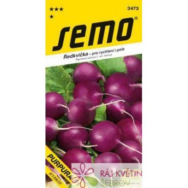 Ředkvička fialov&aacute; - Purpura F1 rychl,pole 1,5g