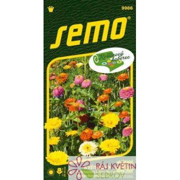 Směs Lučn&iacute; třpyt (Little Carpet Multicolour) 6g - s&eacute;rie KVĚTINOV&Yacute; KOBEREC
