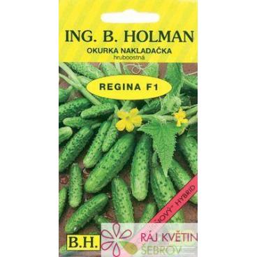 Okurka nakl. Holman - Regina F1 hr 2,5g