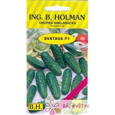 Okurka nakl. Holman - Svatava F1 hr 2,5g