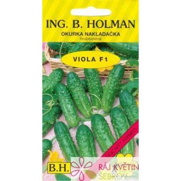 Okurka nakl. Holman - Viola F1 hr 2,5g