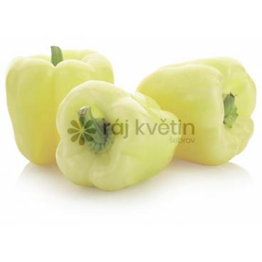 Paprika Beluga White F1 (dříve Belladonna F)