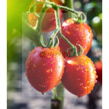 Roubované tyčkové rajče Tutti Frutti F1